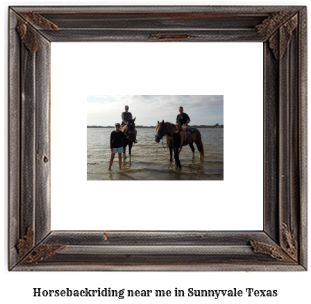 horseback riding near me in Sunnyvale, Texas